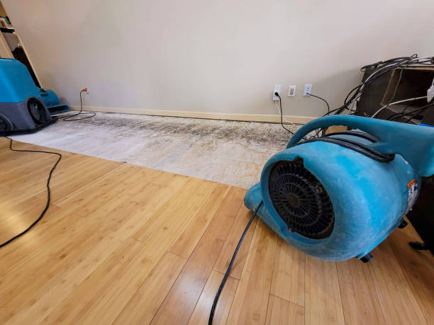 Professional Basement Flood Cleanup technician working in Atkinson, IL
